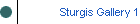 Sturgis Gallery 1
