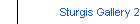 Sturgis Gallery 2