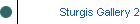 Sturgis Gallery 2